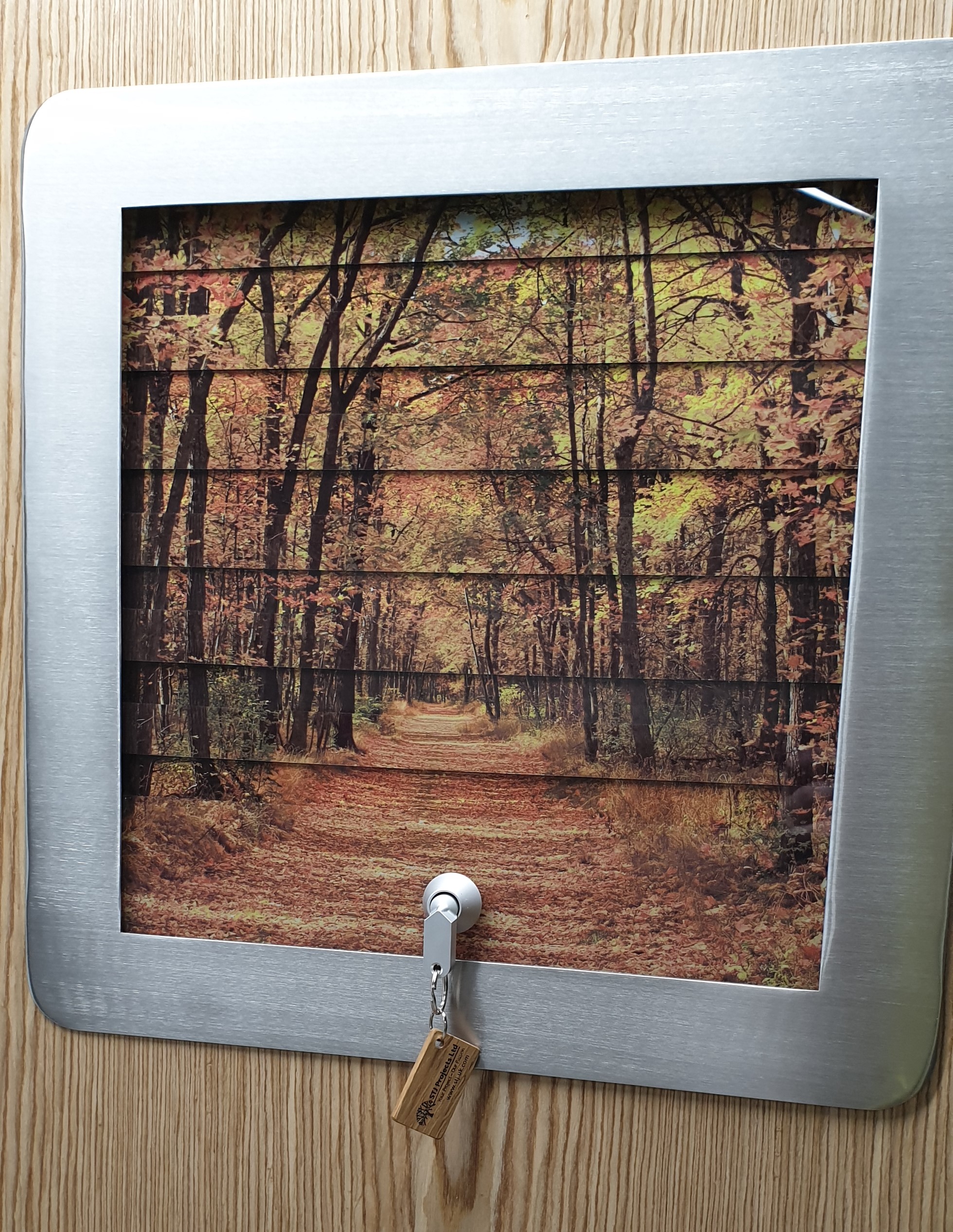 Mental Health Vision Panel DoorSet
